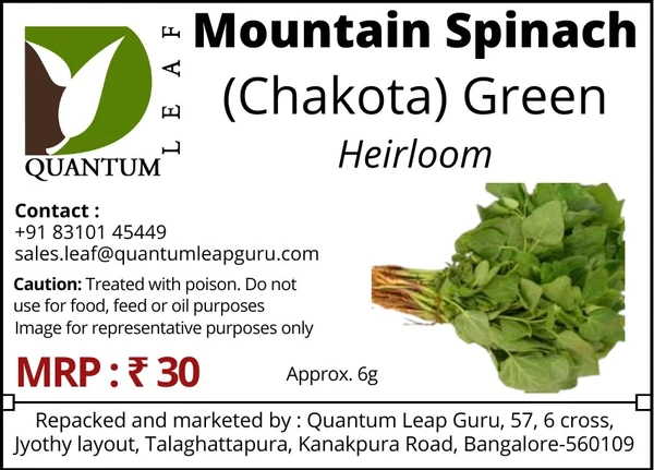 Quantum Leaf  Mountain Spinach - Green, Open Pollinated