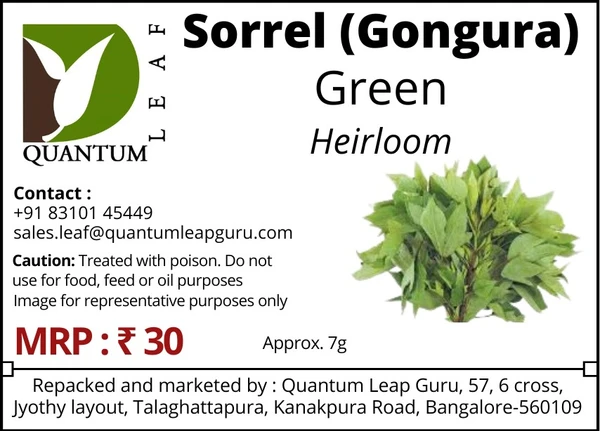Quantum Leaf Sorrel (Gongura) - Green, Open Pollinated