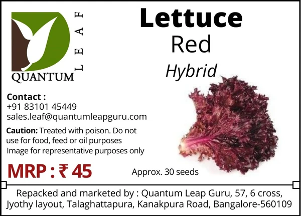 Quantum Leaf Lettuce - Red, Hybrid