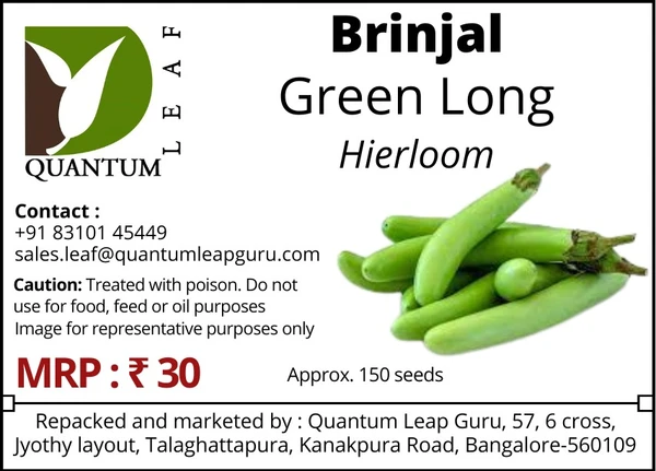 Quantum Leaf Brinjal - Green Long, Open pollinated