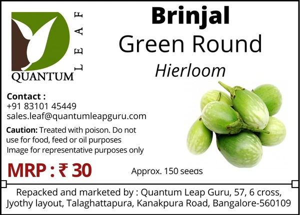 Quantum Leaf Brinjal - Green Round, Open Pollinated