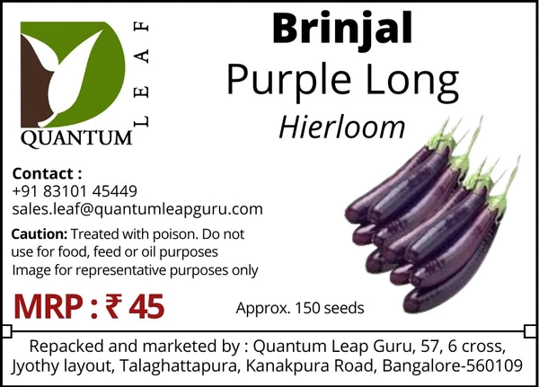 Quantum Leaf Brinjal - Purple Long, Open  Polinated