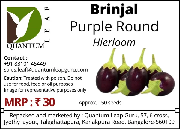 Quantum leaf Brinjal - Purple Round, Open Pollinated