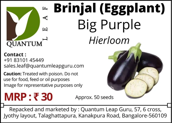 Quantum Leaf Brinjal (Eggplant) - Purple Big, Open pollinated