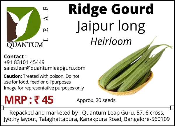 Quantum Leaf Ridge gourd - Jaipur Long, Open pollinated