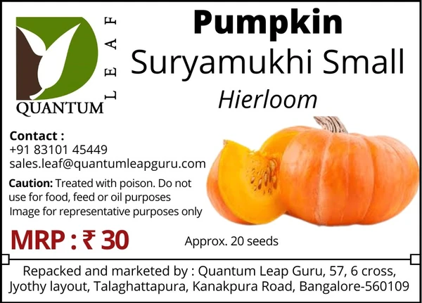 Quantum Leaf Pumpkin - Suryamukhi Small, Open pollinated