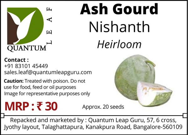 Quantum Leaf Ash gourd - Nishanth, Open Pollinated