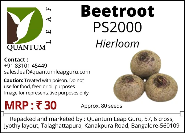 Quantum Leaf Beetroot - PS2000, Open Pollinated