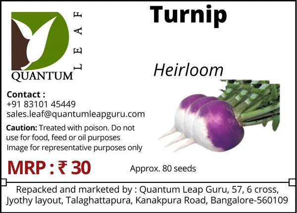 Quantum Leaf Turnip - Open Pollinated