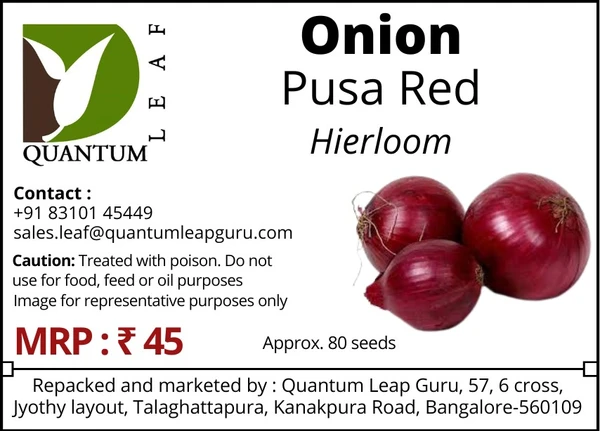 Quantum Leaf Onion - Pusa Red, Open Pollinated