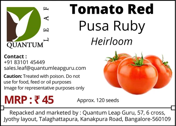 Quantum Leaf Tomato - Open Pollinated, Pusa Ruby
