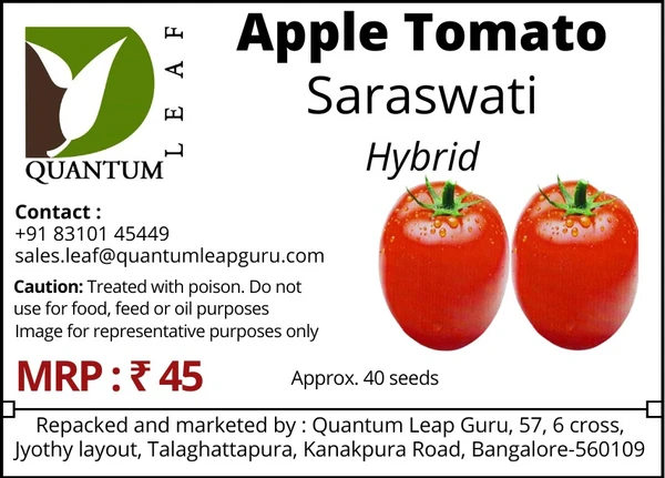 Quantum Leaf Tomato - Apple - Saraswathi, Hybrid