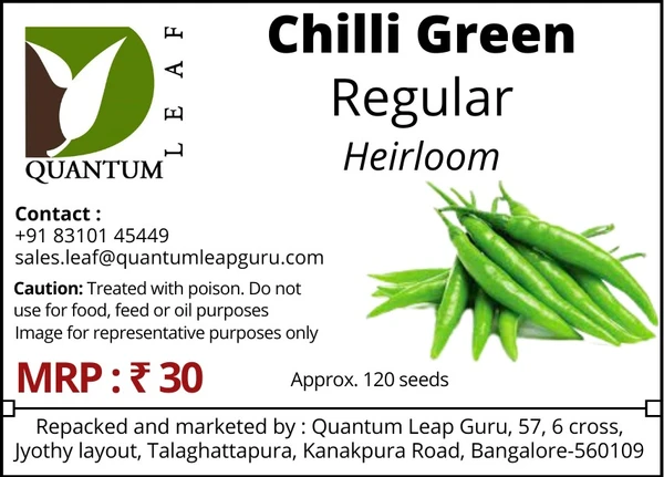 Quantum Leaf Chilli - Green Regular, Open pollinated