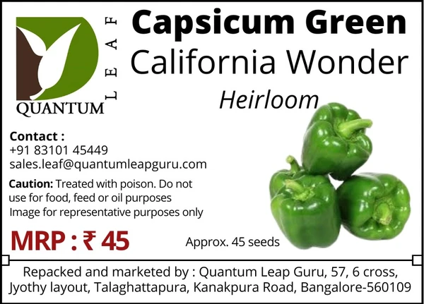 Quantum Leaf Capsicum - Green California Wonder, Open Pollinated