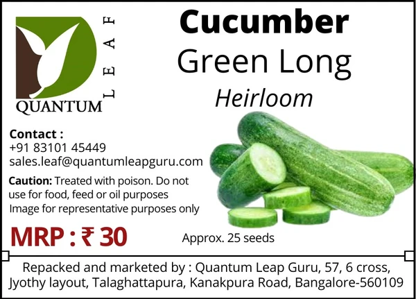 Quantum Leaf Cucumber - Green Long, Open Pollinated