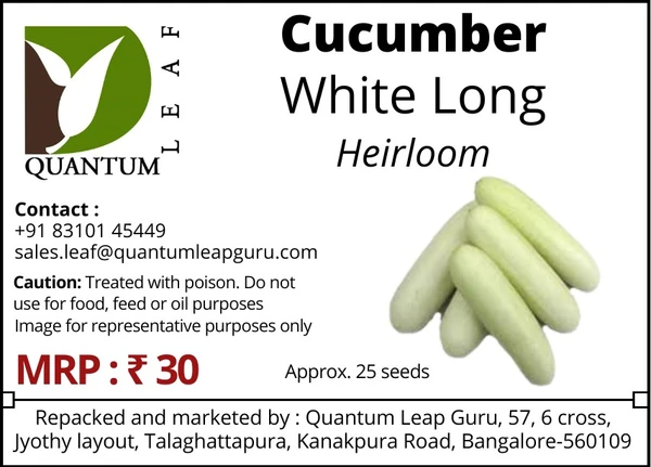 Quantum Leaf Cucumber - White, Long, Open pollinated