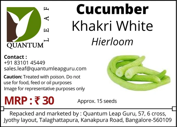 Quantum Leaf Cucumber - White, Khakri, Open Pollinated