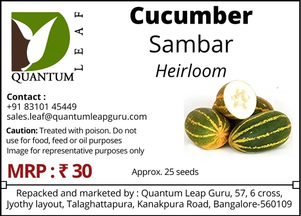 Quantum Leaf Cucumber - Green-Yellow, Sambar, Open Pollinated