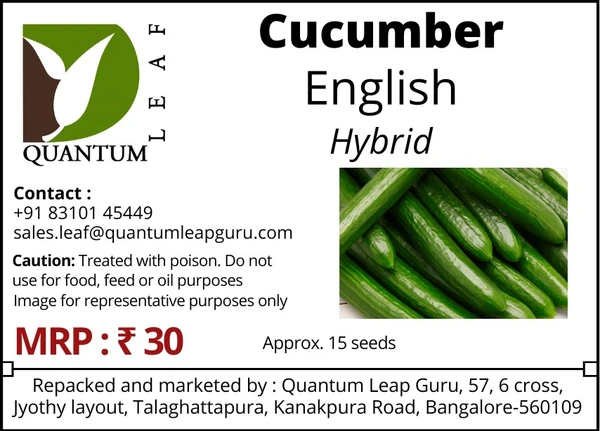 Quantum Leaf Cucumber - Green, English, Open Pollinated