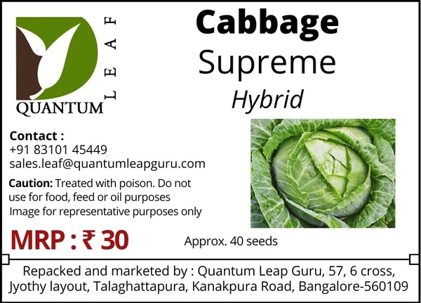 Quantum Leaf Cabbage - Green, Supreme, Hybrid