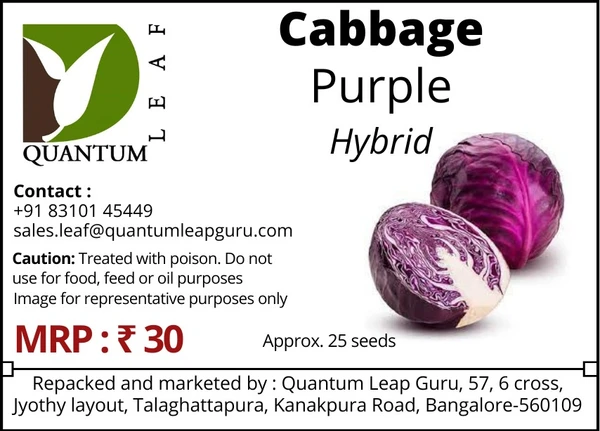 Quantum Leaf Cabbage - Purple, Hybrid