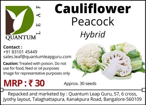 Quantum Leaf Cauliflower - White, Peacock, Hybrid