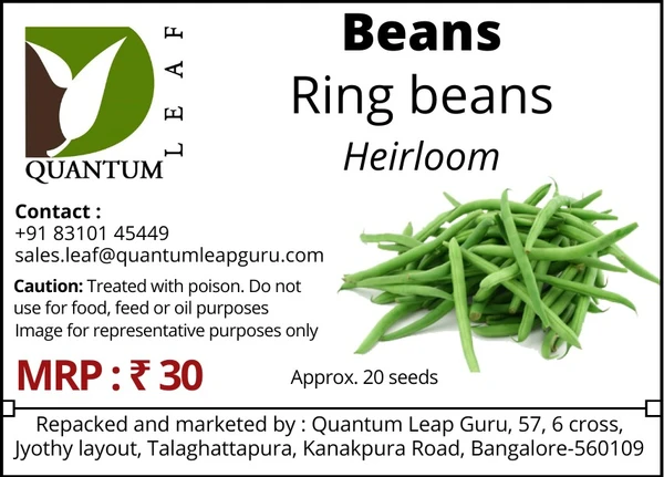 Quantum Leaf Ring Beans - Green, Open Pollinated