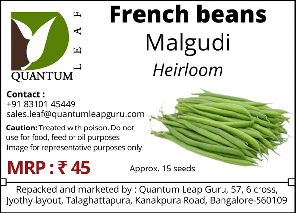 Quantum Leaf French Beans - Green, Malgudi, Open Pollinated
