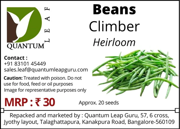 Quantum Leaf Climber Beans - Green, Open Pollinated