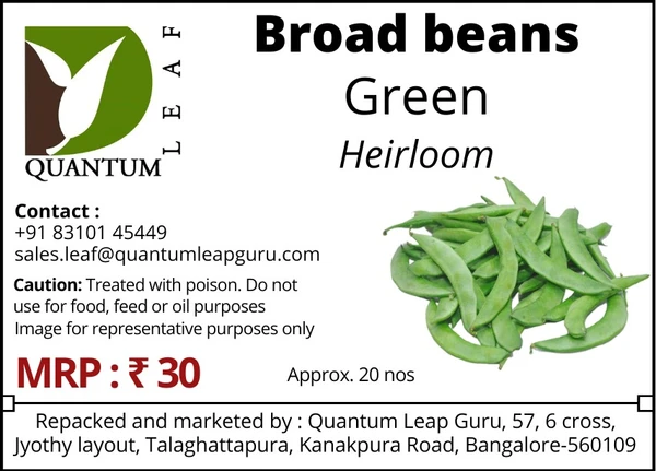 Quantum Leaf Broad beans - Green, Open pollinated