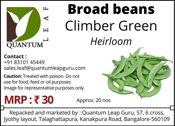 Quantum Leaf Broad Beans - Green, Climber, Open Pollinated