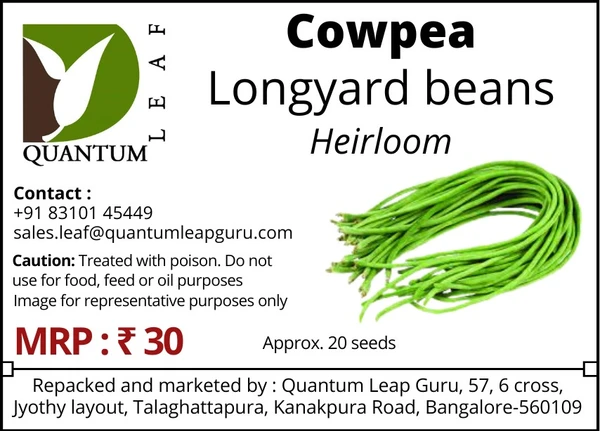 Quantum Leaf Cowpea - Green, longyard beans, Open pollinated