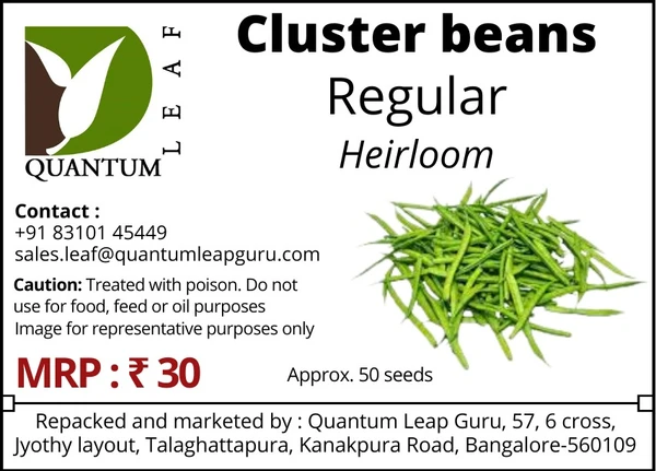 Quantum Leaf Cluster Beans - Green, regular, Open pollinated