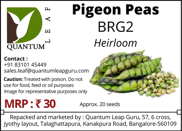 Quantum Leaf Pigeon Peas - Green, BRG2, Open Pollinated