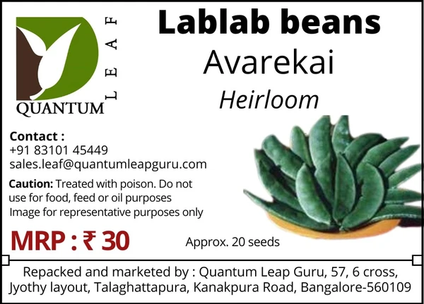 Quantum Leaf Lablab Beans (Avarekai) - Green, Open Pollinated