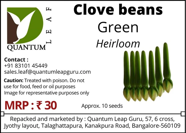 Quantum Leaf Clove Beans - Open Pollinated
