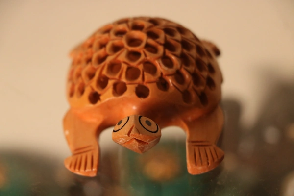 Wooden Turtle  - Medium