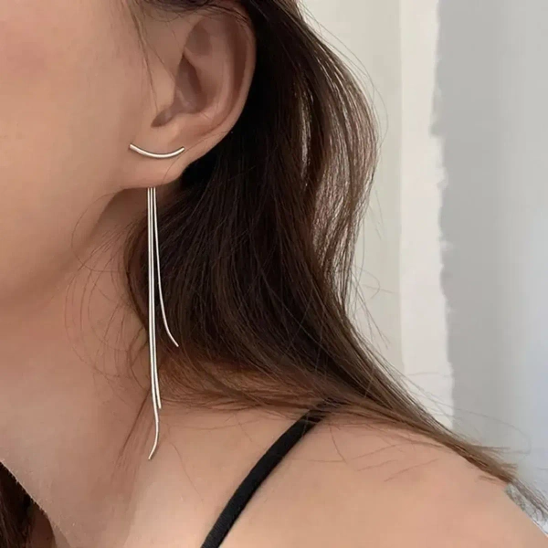 Stylish Beautiful Creative Trend Metal Earrings Hollow For Women And Girls - free size, silver