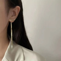 Stylish Beautiful Creative Trend Metal Earrings Hollow For Women And Girls - free size, silver