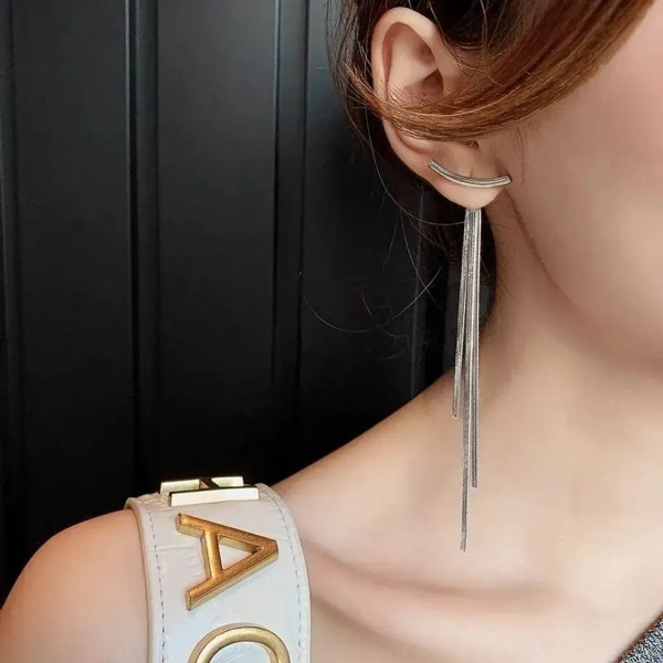 Stylish Beautiful Creative Trend Metal Earrings Hollow For Women And Girls - free size, silver