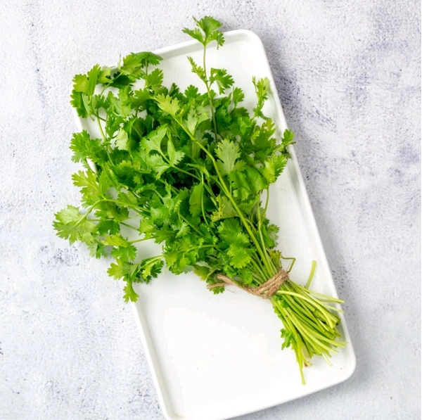 Coriander leaves (धनिया पत्ती) - 100g