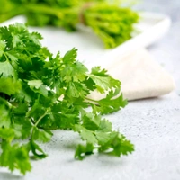 Coriander leaves (धनिया पत्ती) - 100g