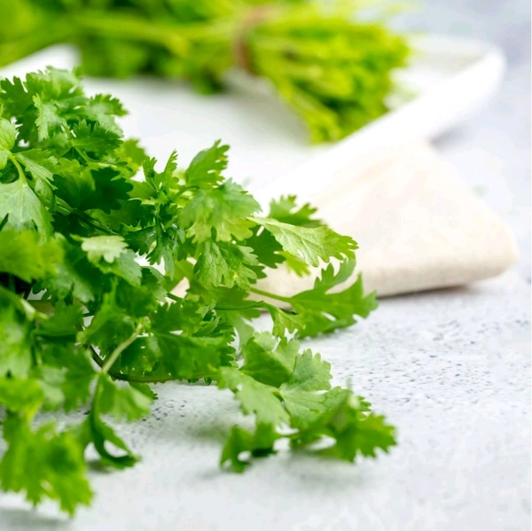 Coriander leaves (धनिया पत्ती) - 100g