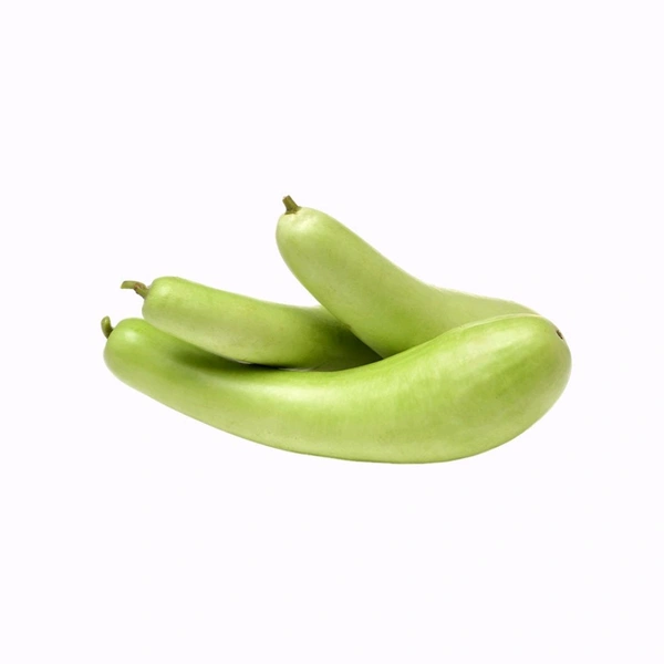 Bottle Gourd (लौकी) - 500g - 750g