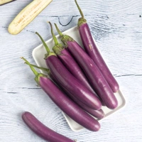 Brinjal (बैंगन) - 500