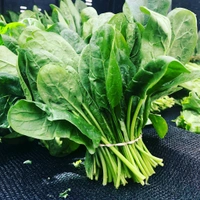 Paalak (पालक) - 1Kg