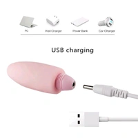 New Arrival  Secret Surprise 10 Function Wireless Love Egg Vibrator - Lavender Rose, Silicone