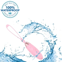 New Arrival  Secret Surprise 10 Function Wireless Love Egg Vibrator - Lavender Rose, Silicone