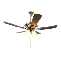 Decorative Ceiling Fan Installation - 50 mins