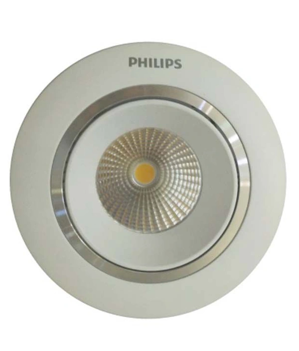 Fall Ceiling Bulb Installation Package - 2-3 hrs